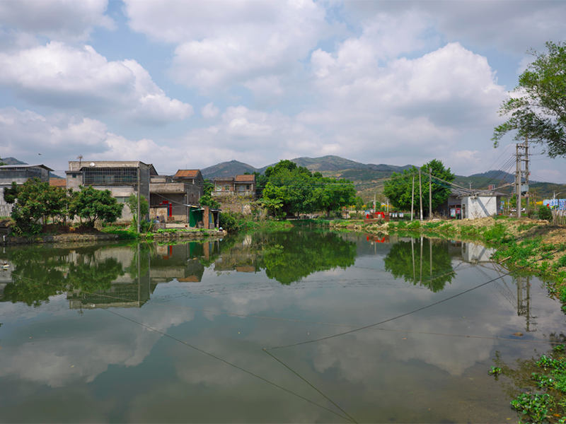 多參數(shù)水質(zhì)檢測儀價(jià)格